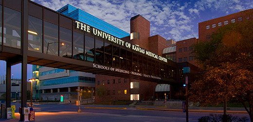 The University of Kansas Cancer Center's Quest for National Cancer Institute Designation