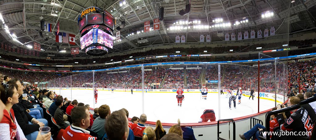 A Survivor at Every Rink: Carolina Hurricanes