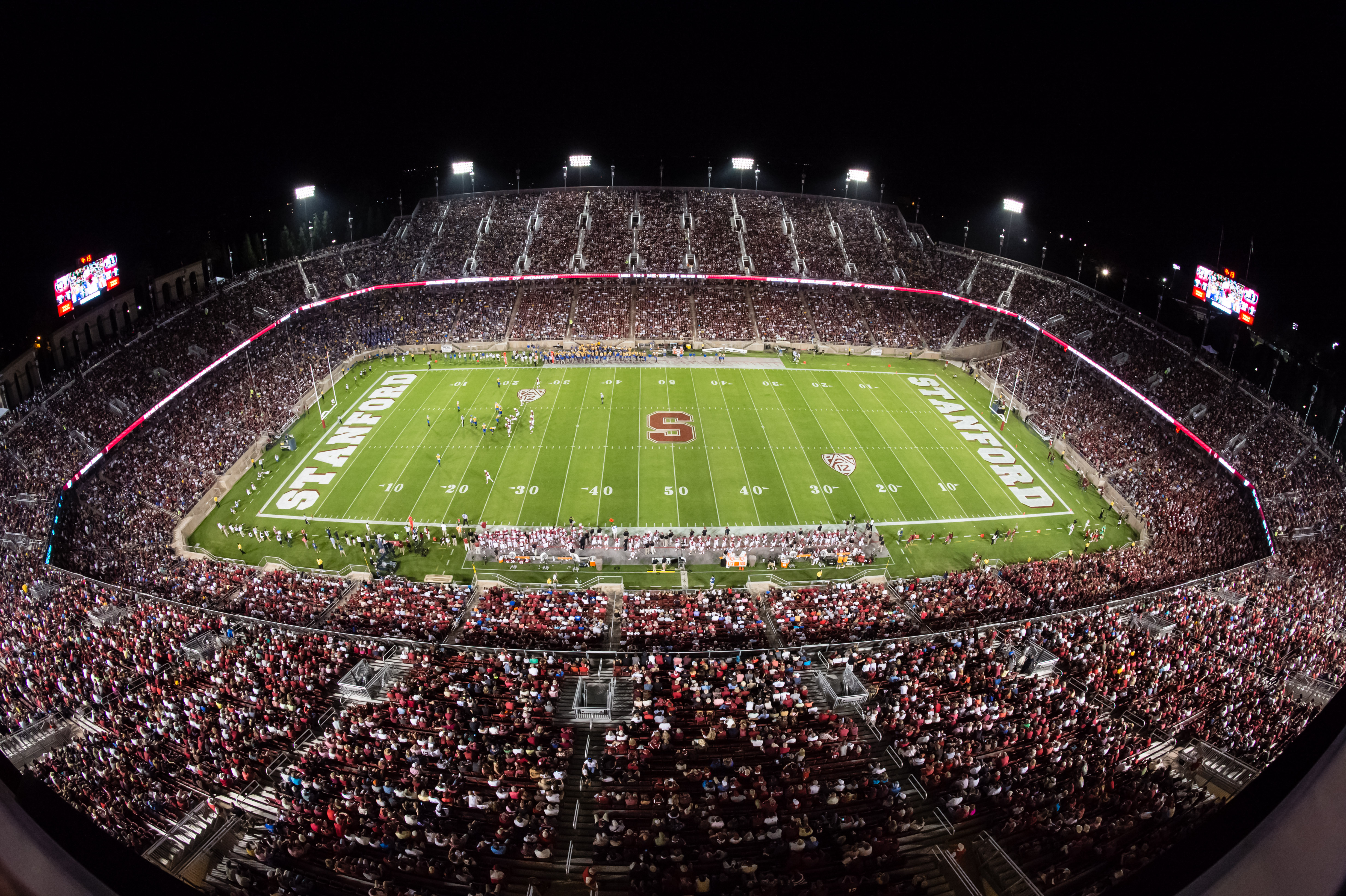 A Survivor at Every College Stadium: Stanford Cardinal