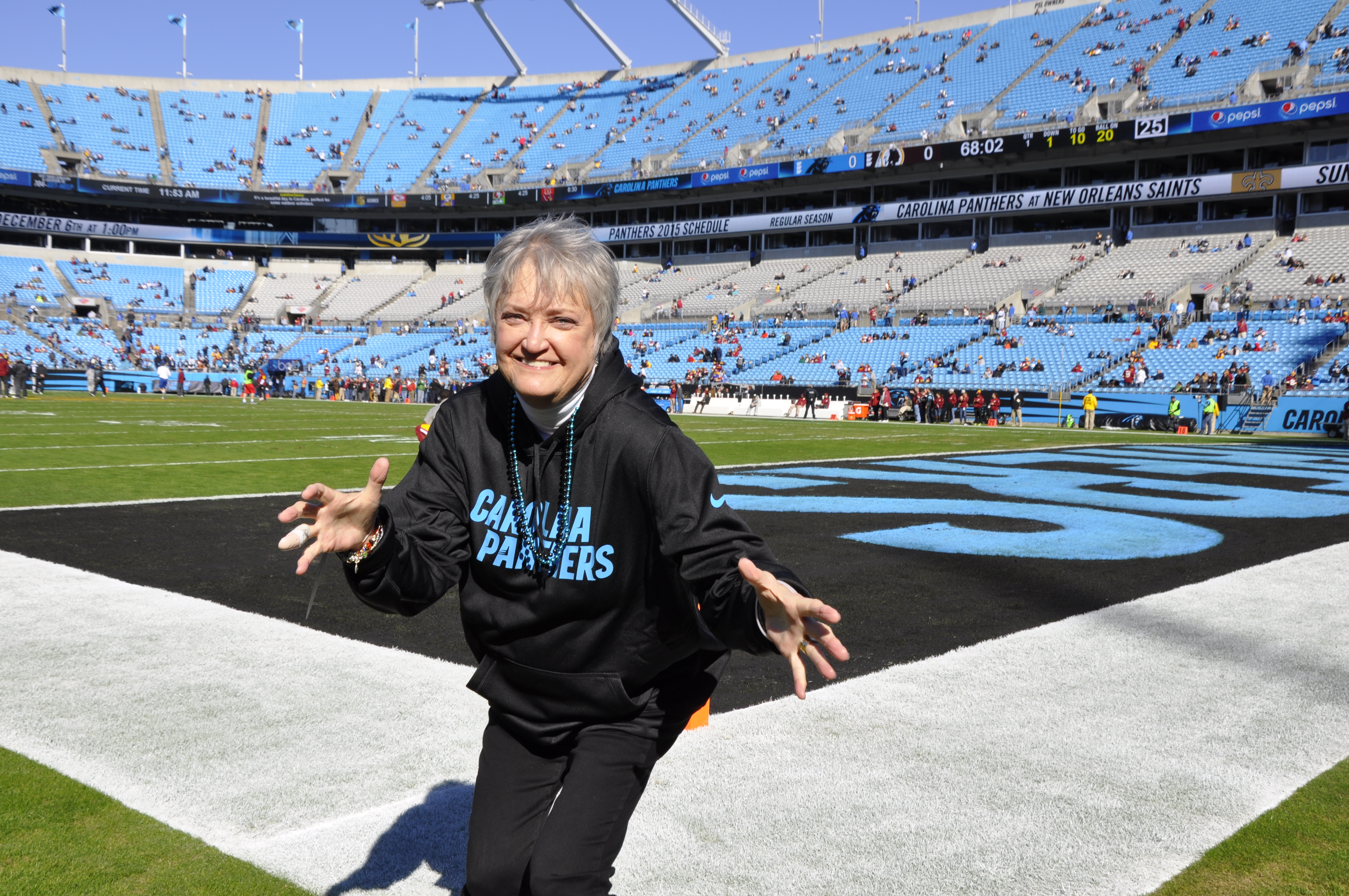 A Survivor at Every Stadium: Carolina Panthers 