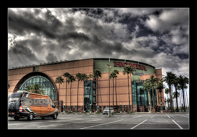 A Survivor at Every Rink: Anaheim Ducks