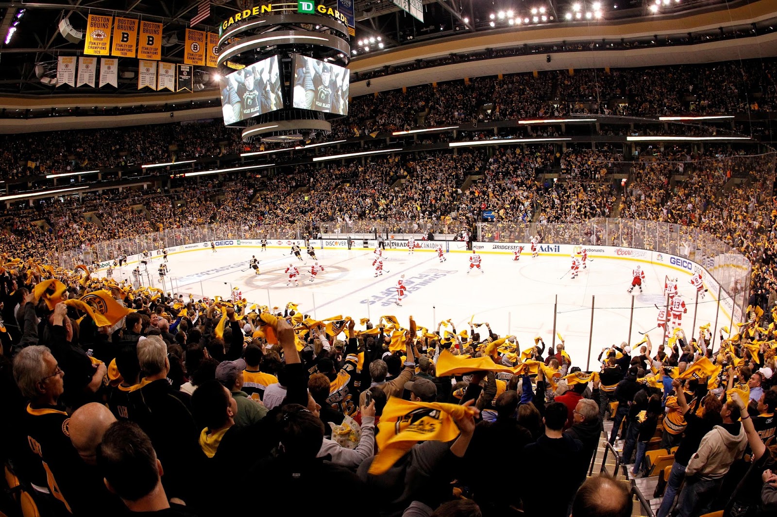 A Survivor at Every Rink: Boston Bruins 