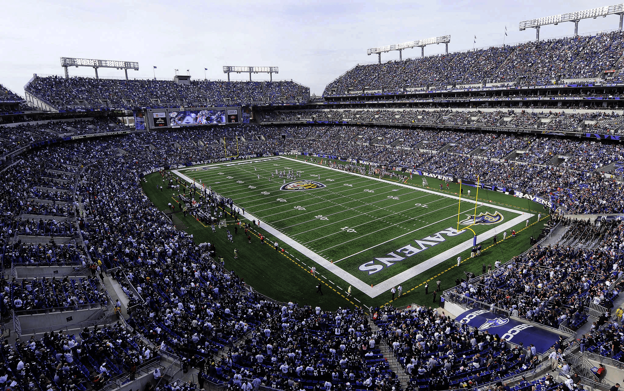 Survivor at Every Stadium: Baltimore Ravens 