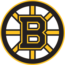 A Survivor at Every Rink: Boston Bruins 