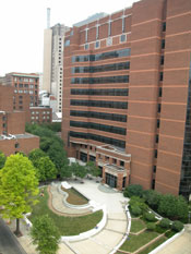 The Kimmel Cancer Center at Jefferson 